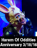 harem of oddities